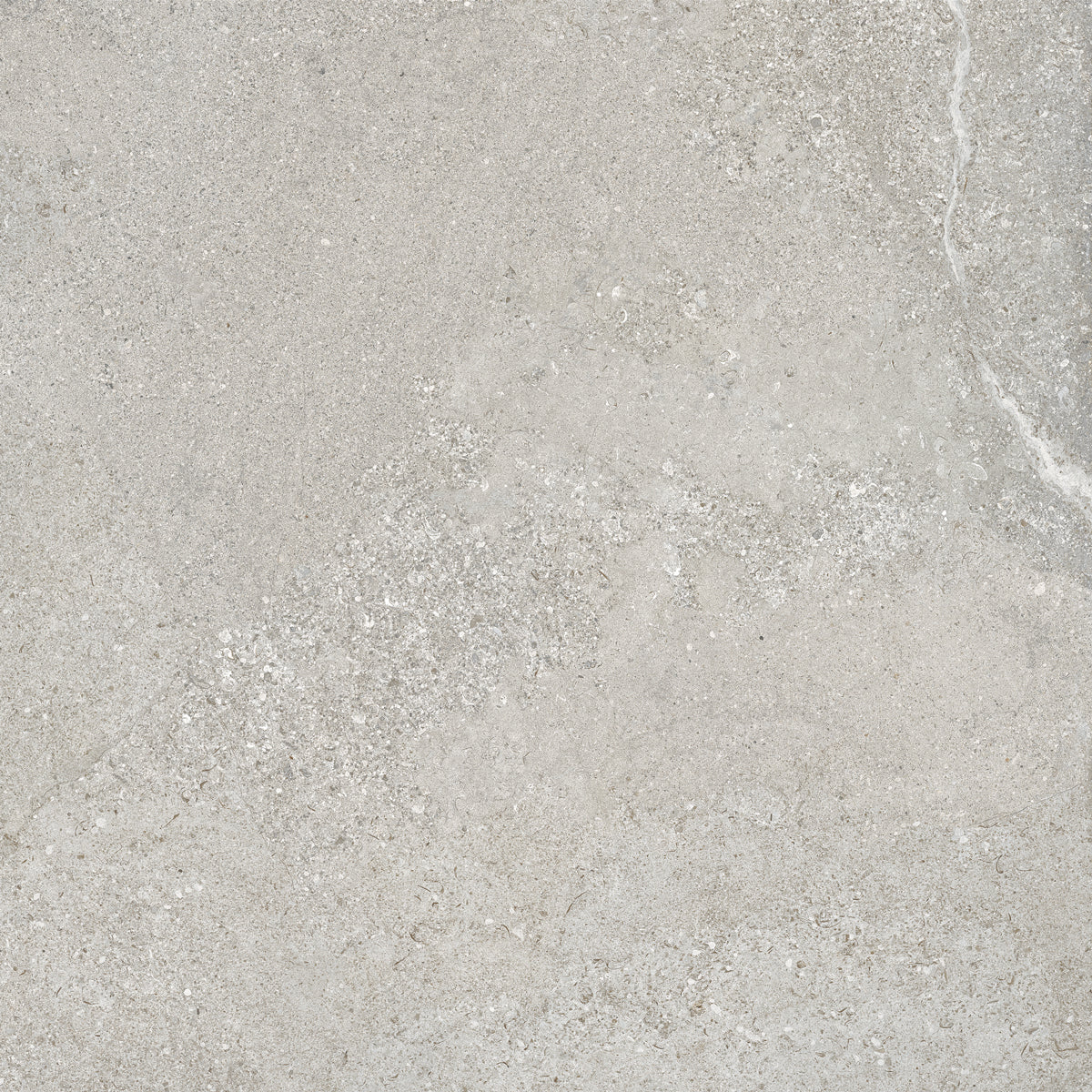Klinker Arenite Kalksten Grey Matt 60x60