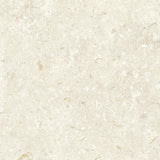 Klinker Gotlandssten Kalksten Bone 60x60