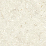 Klinker Gotlandssten Kalksten Bone 60x60