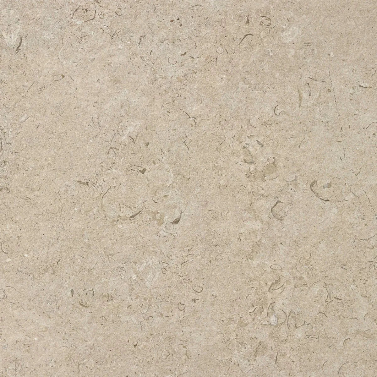 Klinker Kalksten Norr Natural Matt 60x60